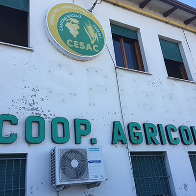 Italy’s thriving agricultural co-ops